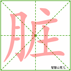 脏的笔顺 笔画数:10 拼音:zàng,zāng 部首:月